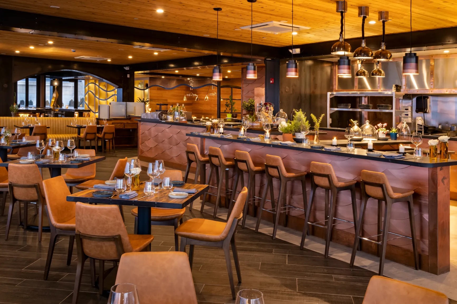 Felina, South Orange