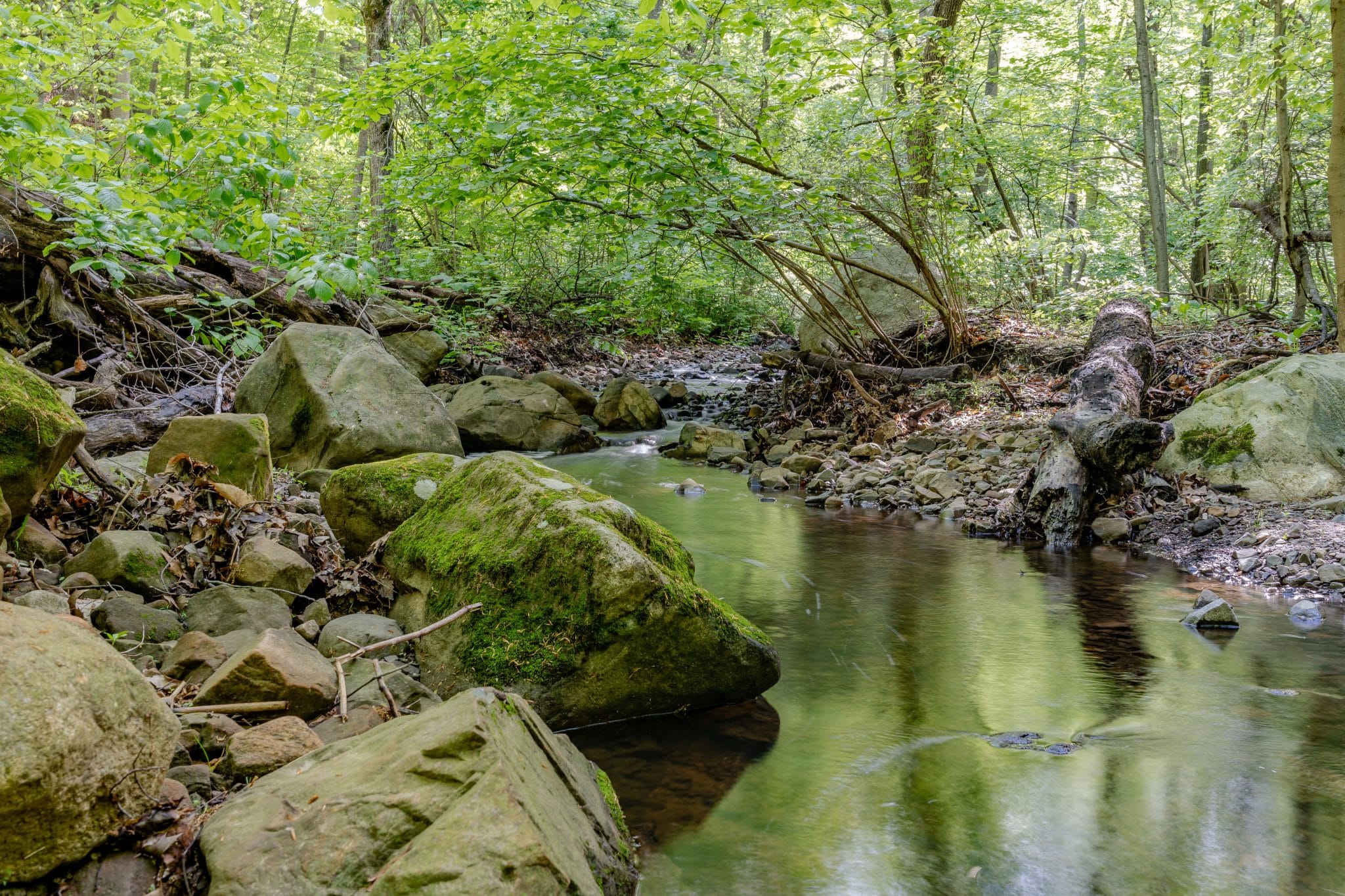 South Mountain Reservation